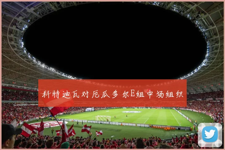 科特迪瓦对厄瓜多尔E组中场组织