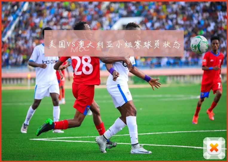 美国vs澳大利亚小组赛球员状态