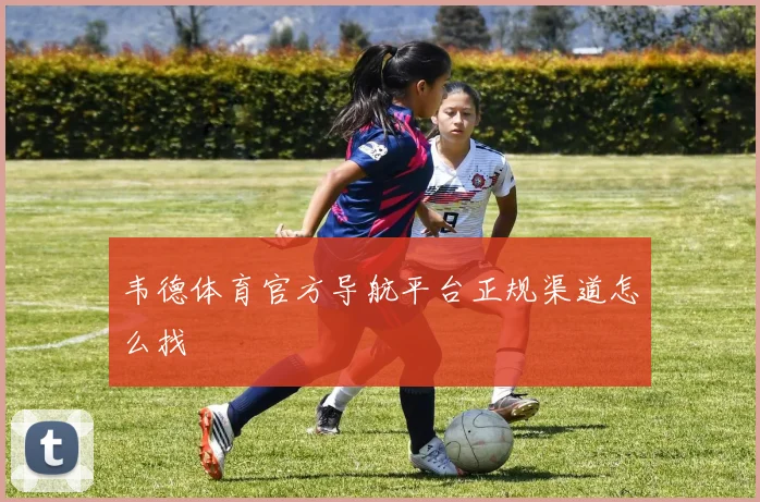 韦德体育官方导航平台正规渠道怎么找