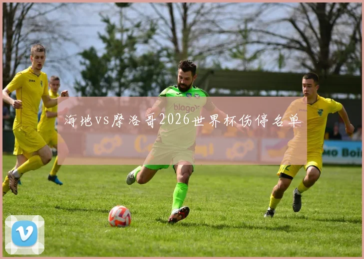 海地vs摩洛哥2026世界杯伤停名单