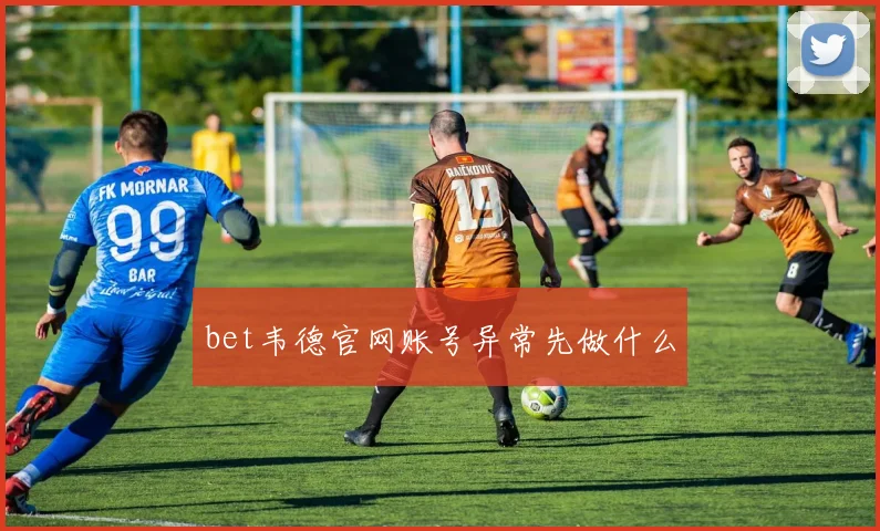 bet韦德官网账号异常先做什么